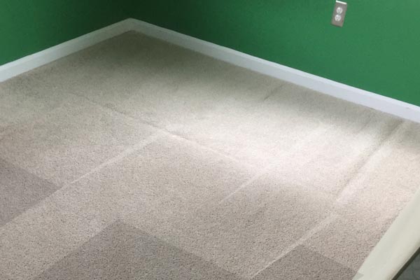 Carpet Cleaning in Crofton